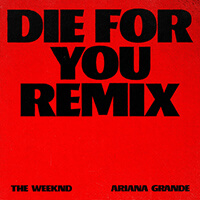 Перевод песни Die For You (Remix)